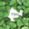 50-Piece Artificial Green Rose Leaves – Bulk Faux Greenery for DIY, Weddings, Birthdays, Bridal Showers, Centerpieces, and Home Décor